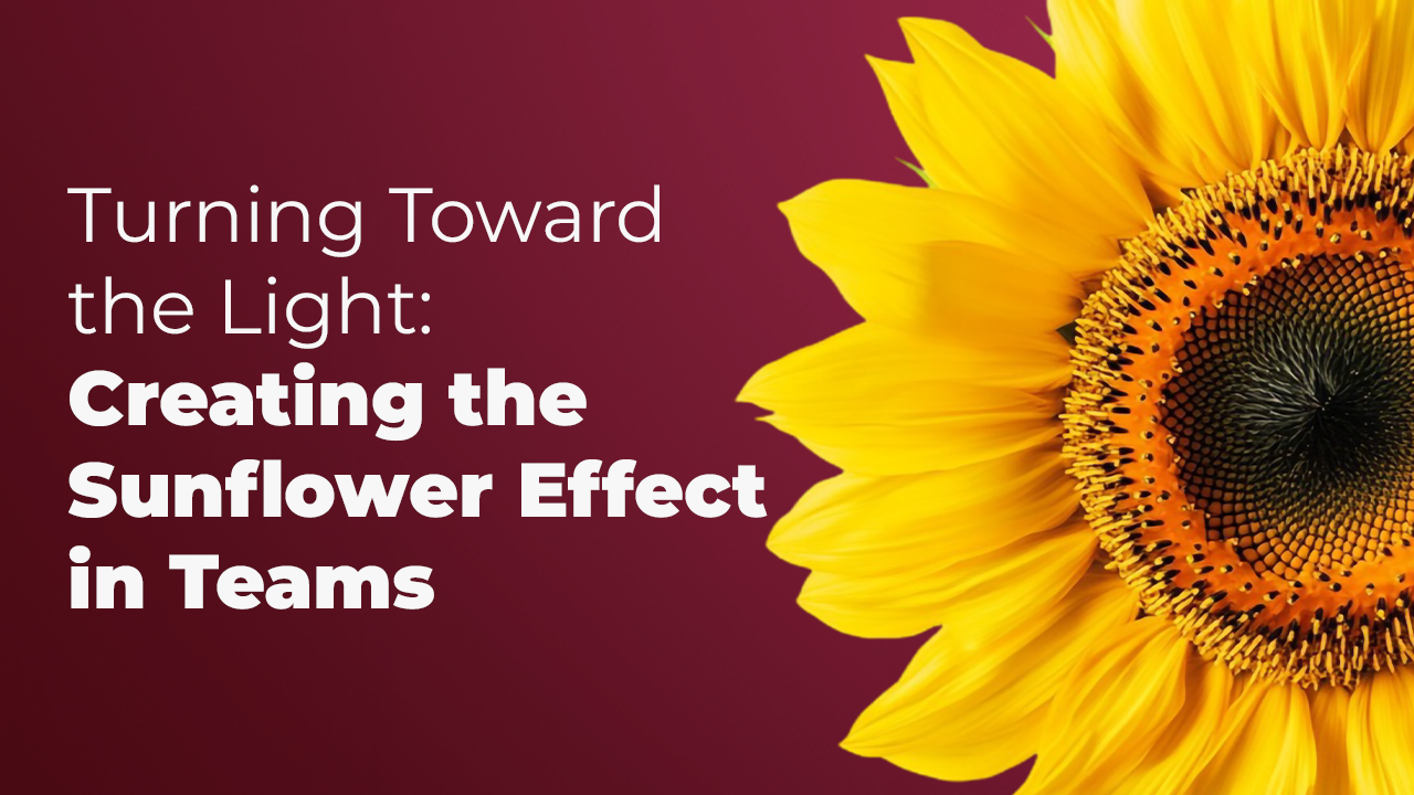 Turning-Toward-the-Light_-Creating-the-Sunflower-Effect-in-Tea