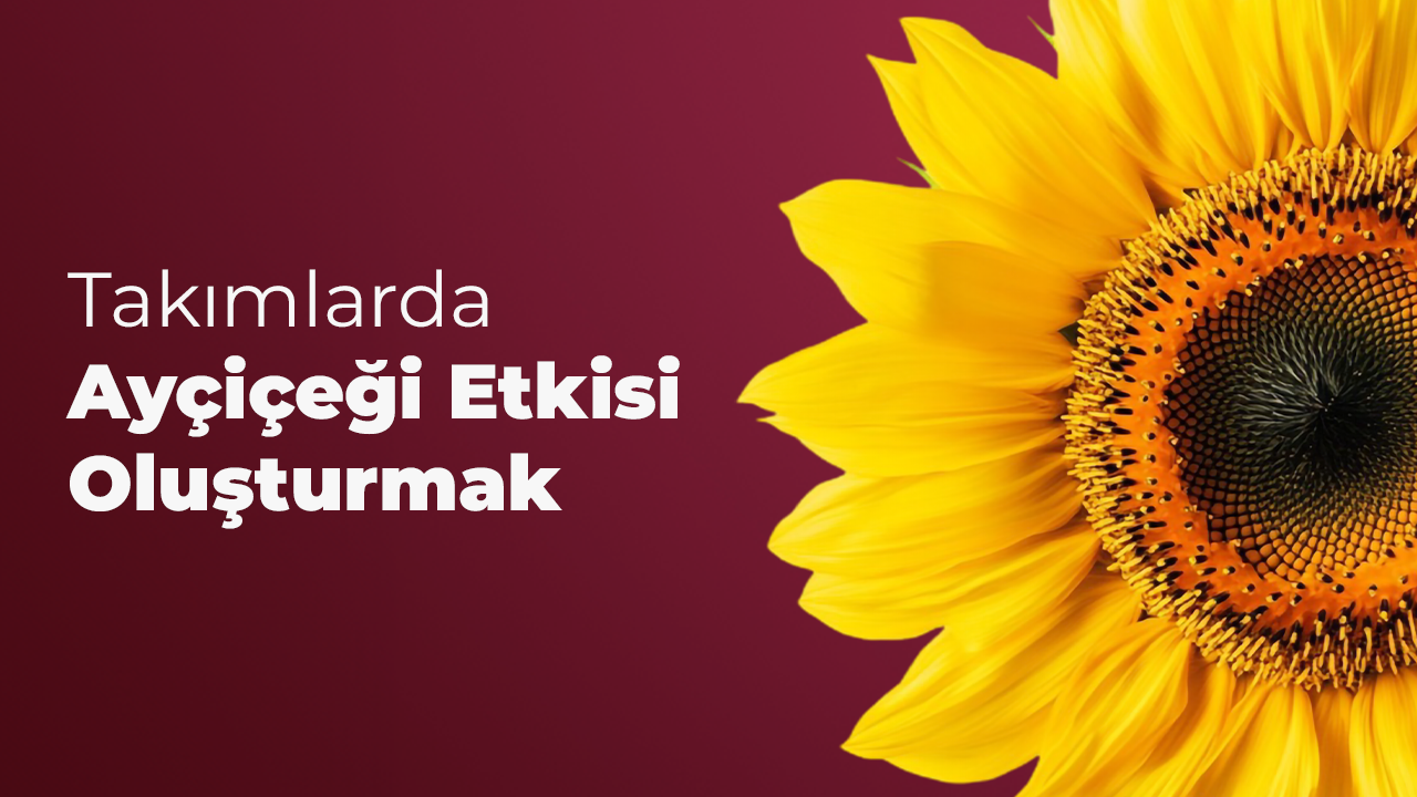 Takımlarda Ayçiçeği Etkisi Oluşturma